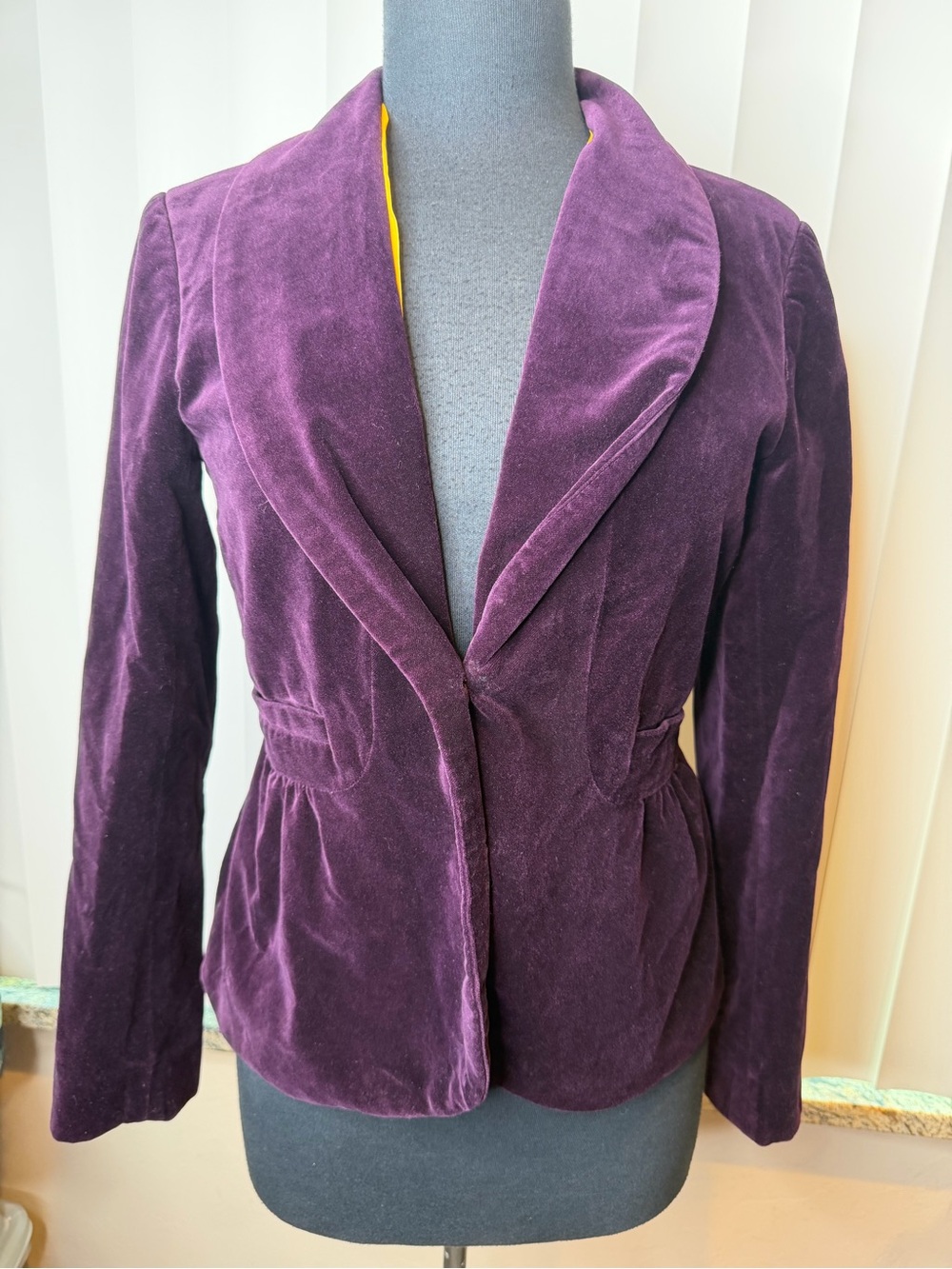 J Crew Purple Eggplant Velvet Women's Blazer Steampunk Jacket Size 4